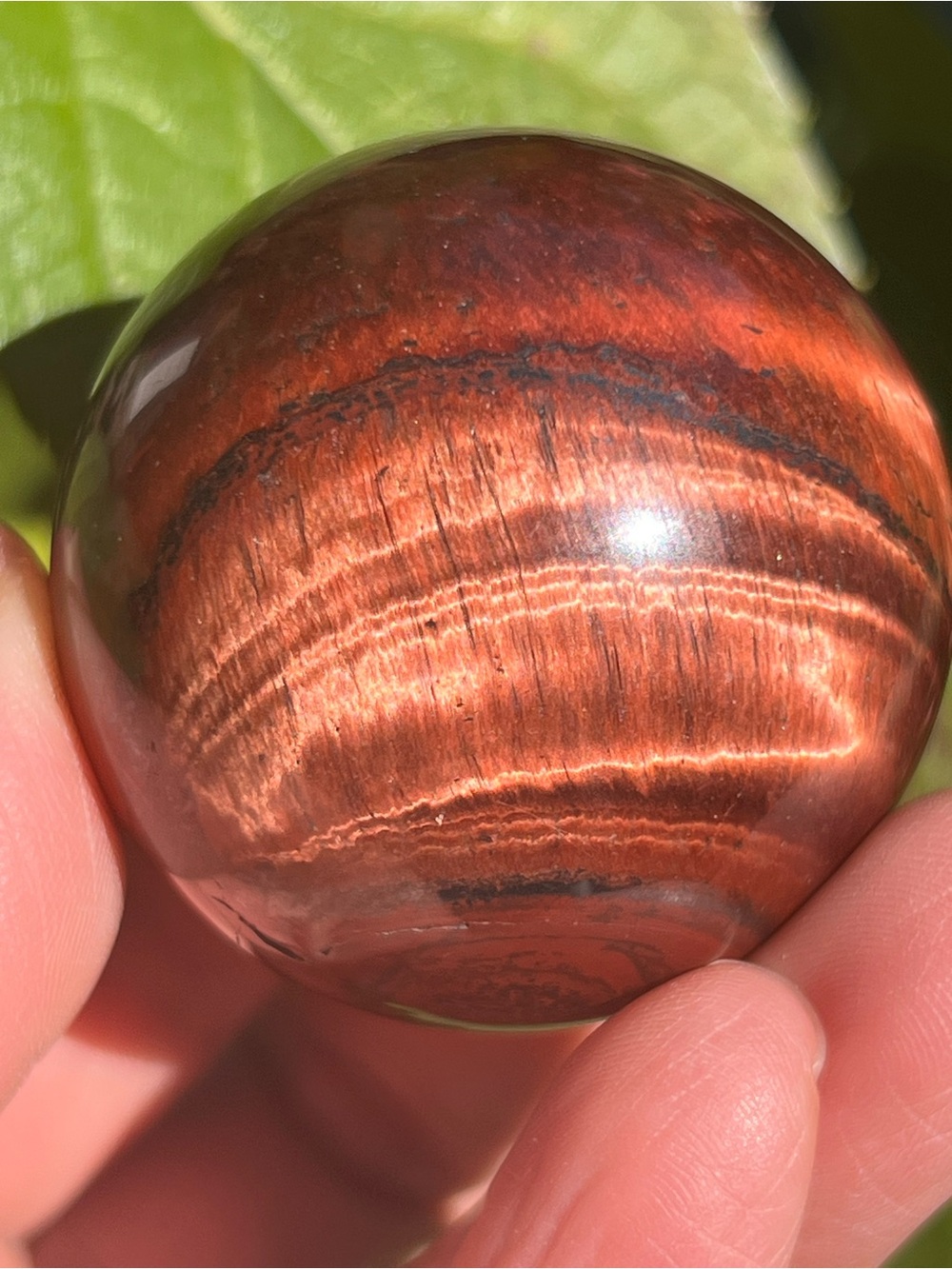 Red (8) Tiger’s eye sphere | crystal